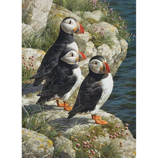 Fisherman's Wharf 500 Piece Jigsaw Puzzle Cobble Hill