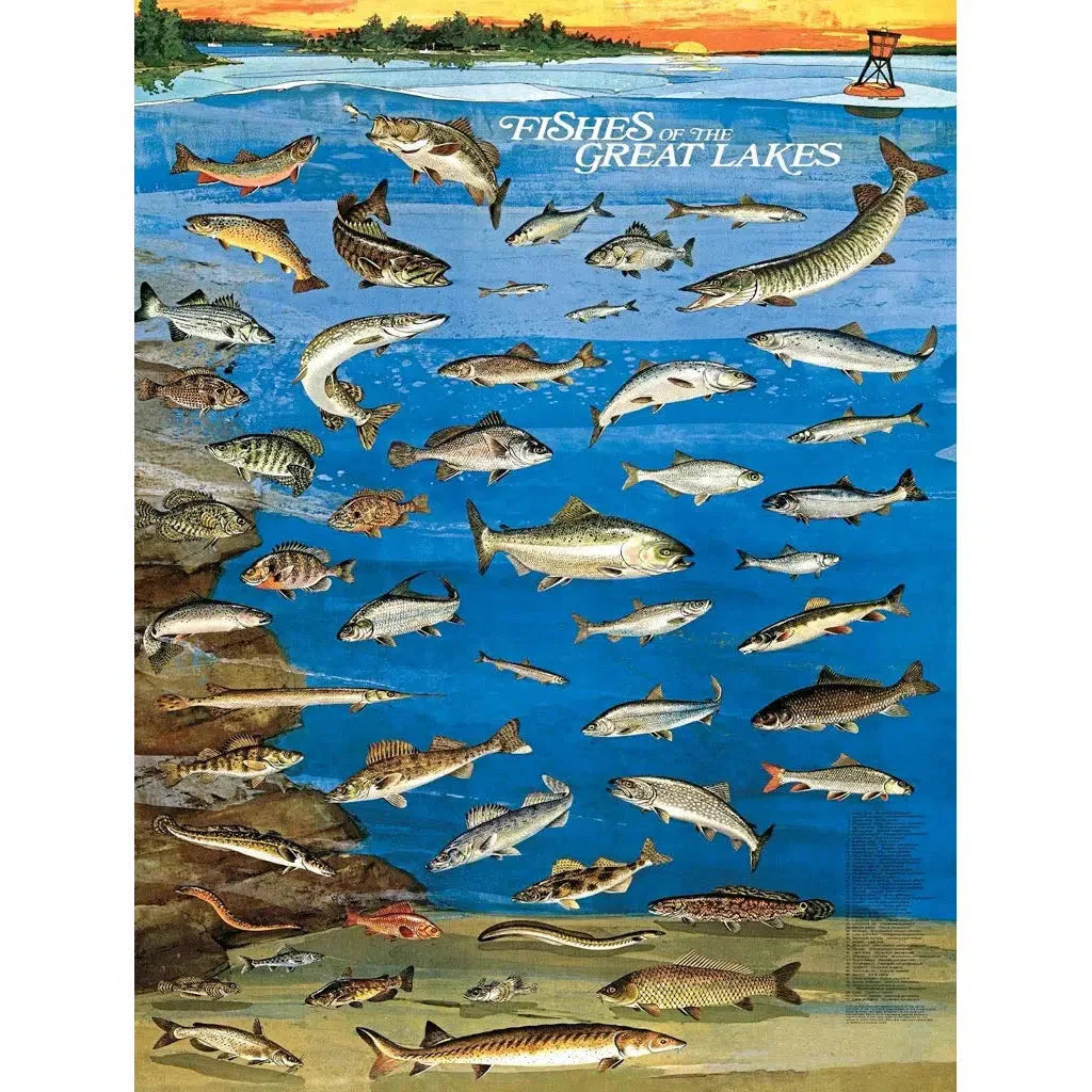 Fishes of the Great Lakes 1000 Piece Jigsaw Puzzle NYPC