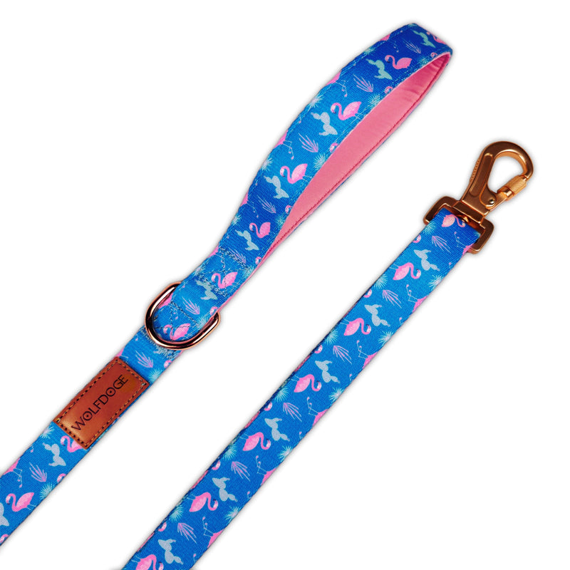 Flamingo Fiesta Leash-Leashes-BIG FRENCHIES-WOLFDOGE