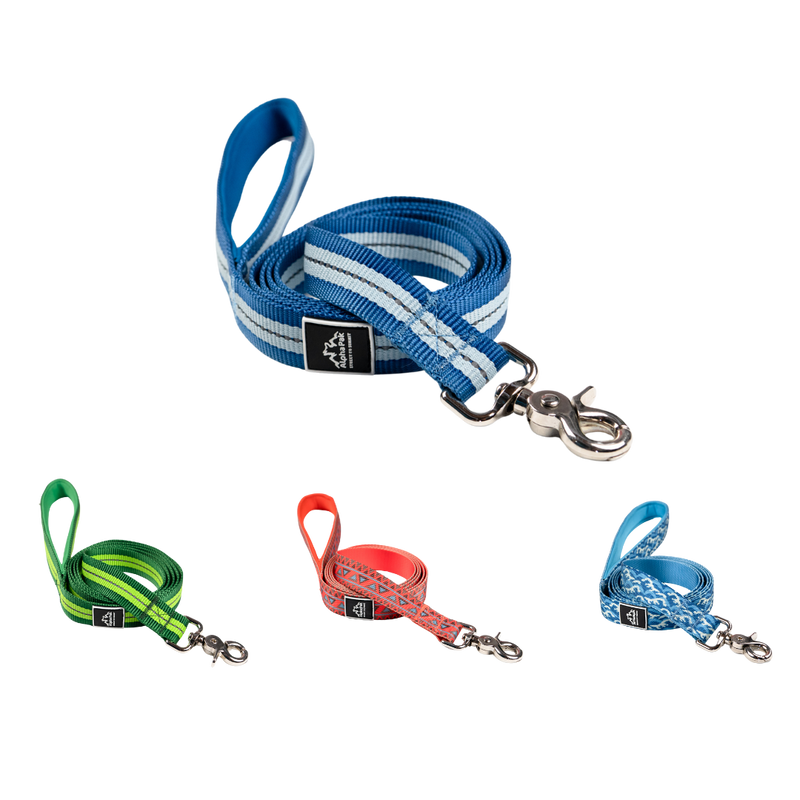 Classic Adventure Flat Dog Leash-FLAT LEASHES-BIG FRENCHIES-Alpha Pak