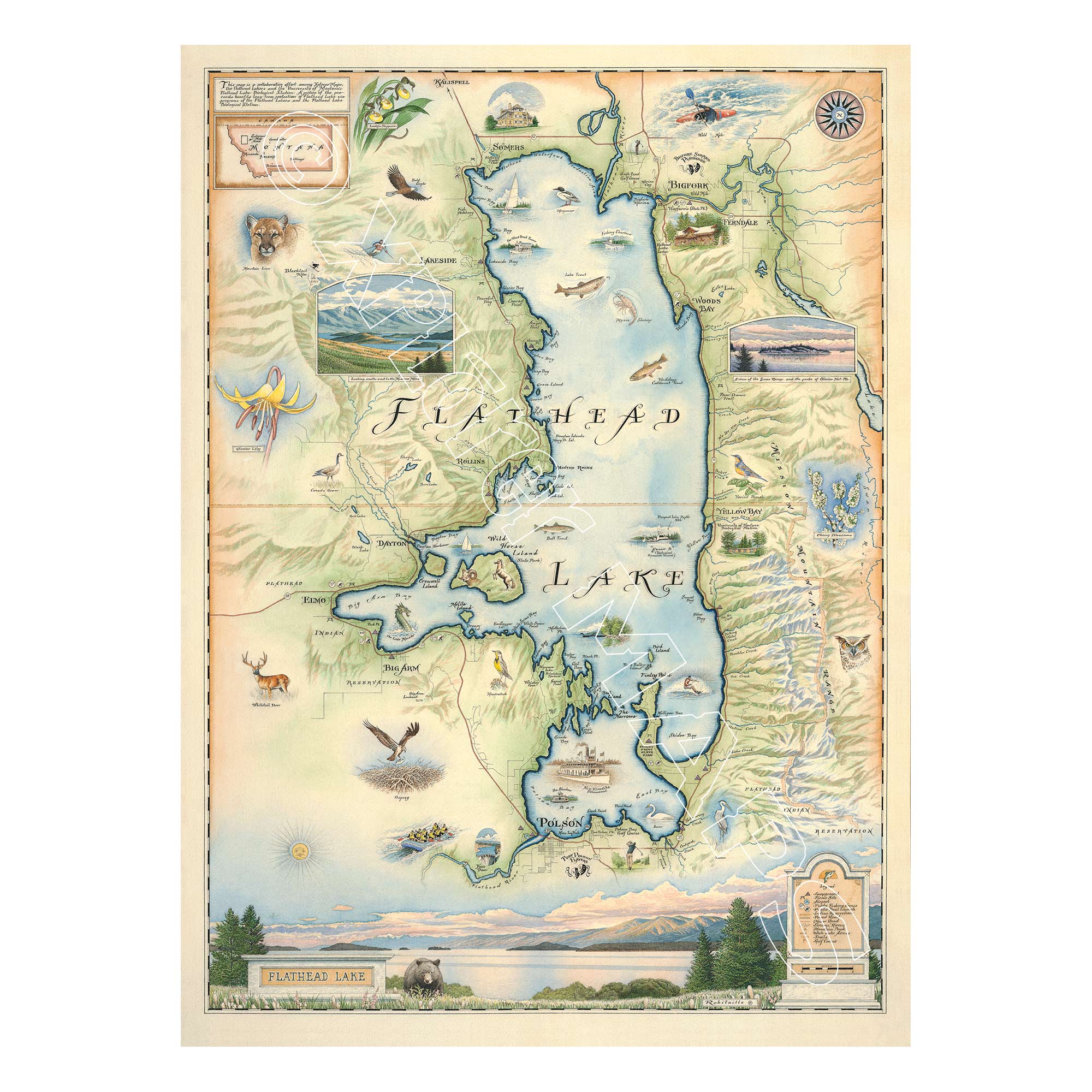 Flathead Lake 1000 Piece Jigsaw Puzzle Xplorer Maps