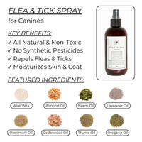 Flea & Tick Spray for Dogs