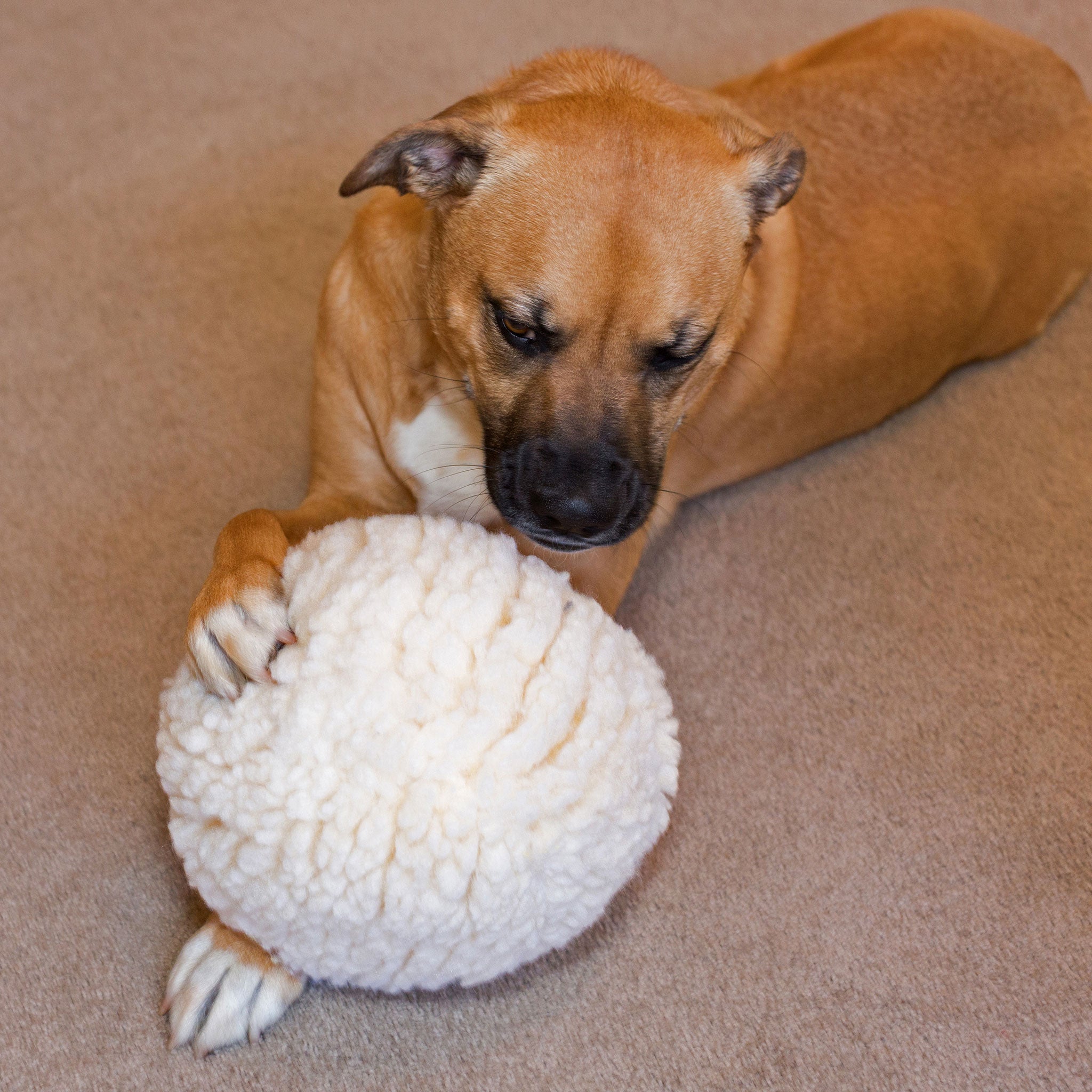 HuggleFleece® Plush Ball Dog Toy - BIG FRENCHIES