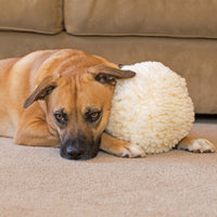 HuggleFleece® Plush Ball Dog Toy - BIG FRENCHIES