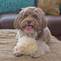 HuggleFleece® Plush Ball Dog Toy - BIG FRENCHIES