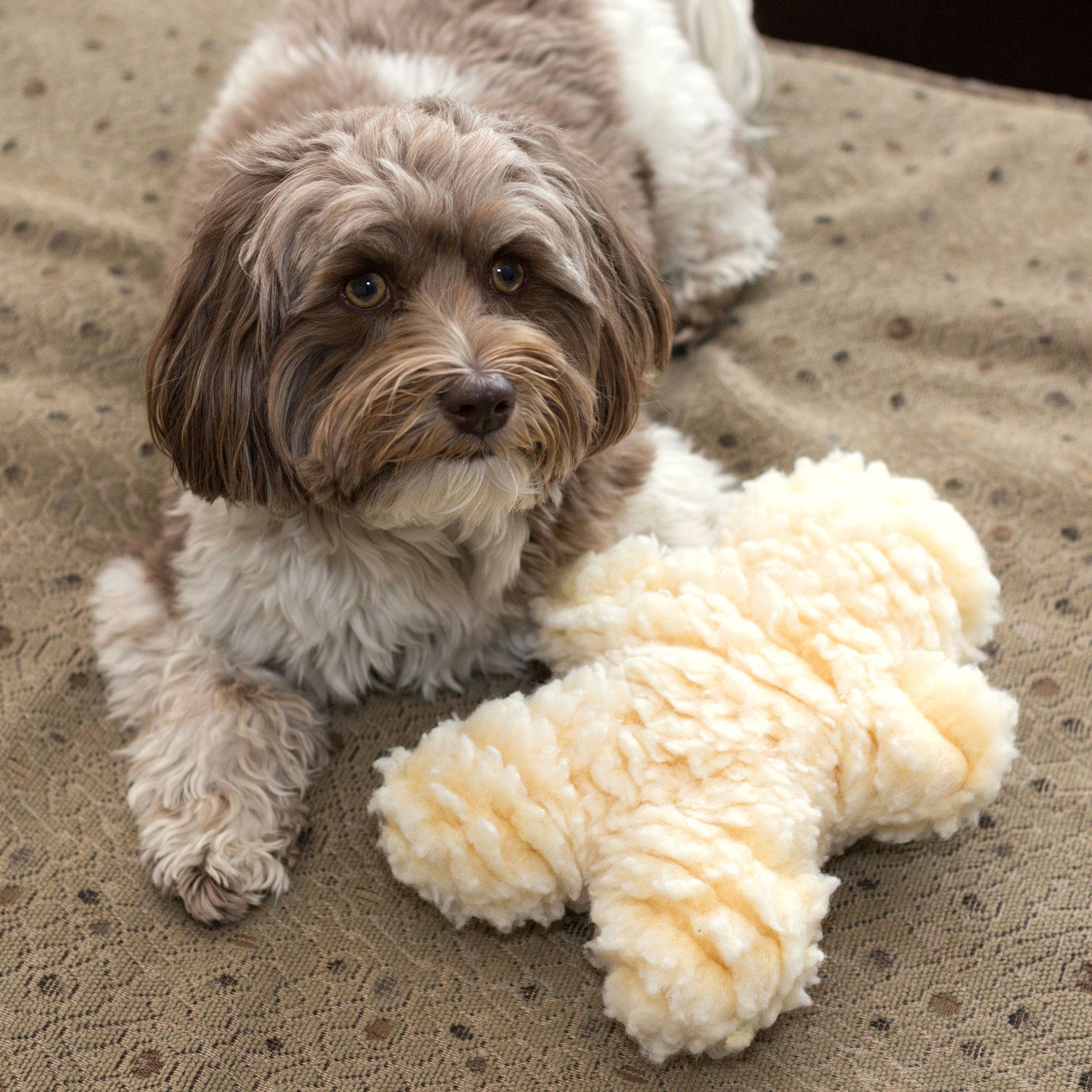 HuggleFleece® Man Plush Dog Toy, Regular - BIG FRENCHIES