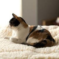 HuggleFleece® Mat Cat & Dog Bed - BIG FRENCHIES