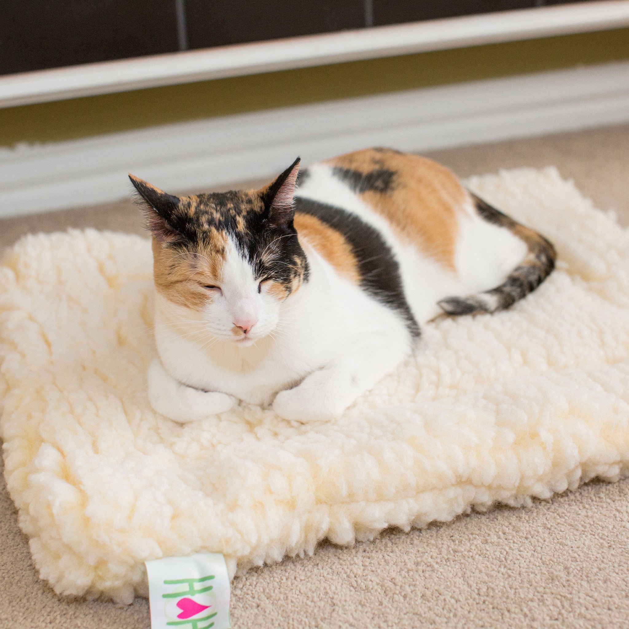 HuggleFleece® Mat Cat & Dog Bed - BIG FRENCHIES