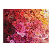 Floret Farm's Cut Flower Garden Double-Sided 500 Piece Jigsaw Puzzle Galison - BIG FRENCHIES
