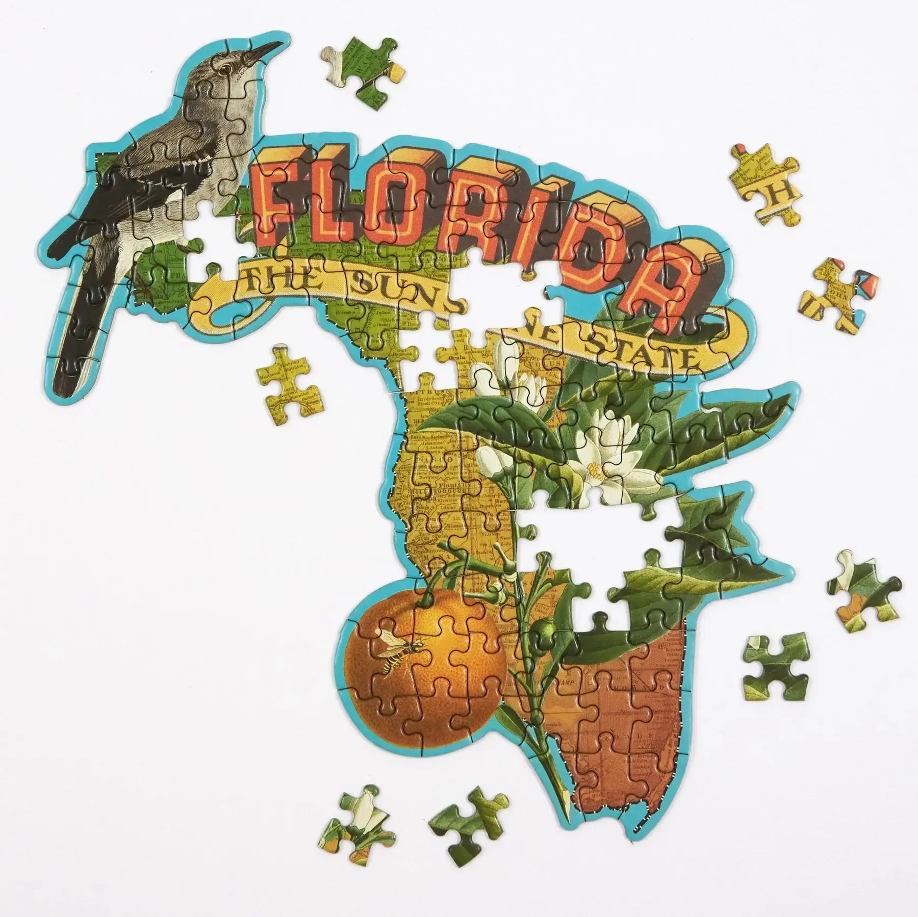 Florida 100 Piece Mini Shaped Jigsaw Puzzle Galison