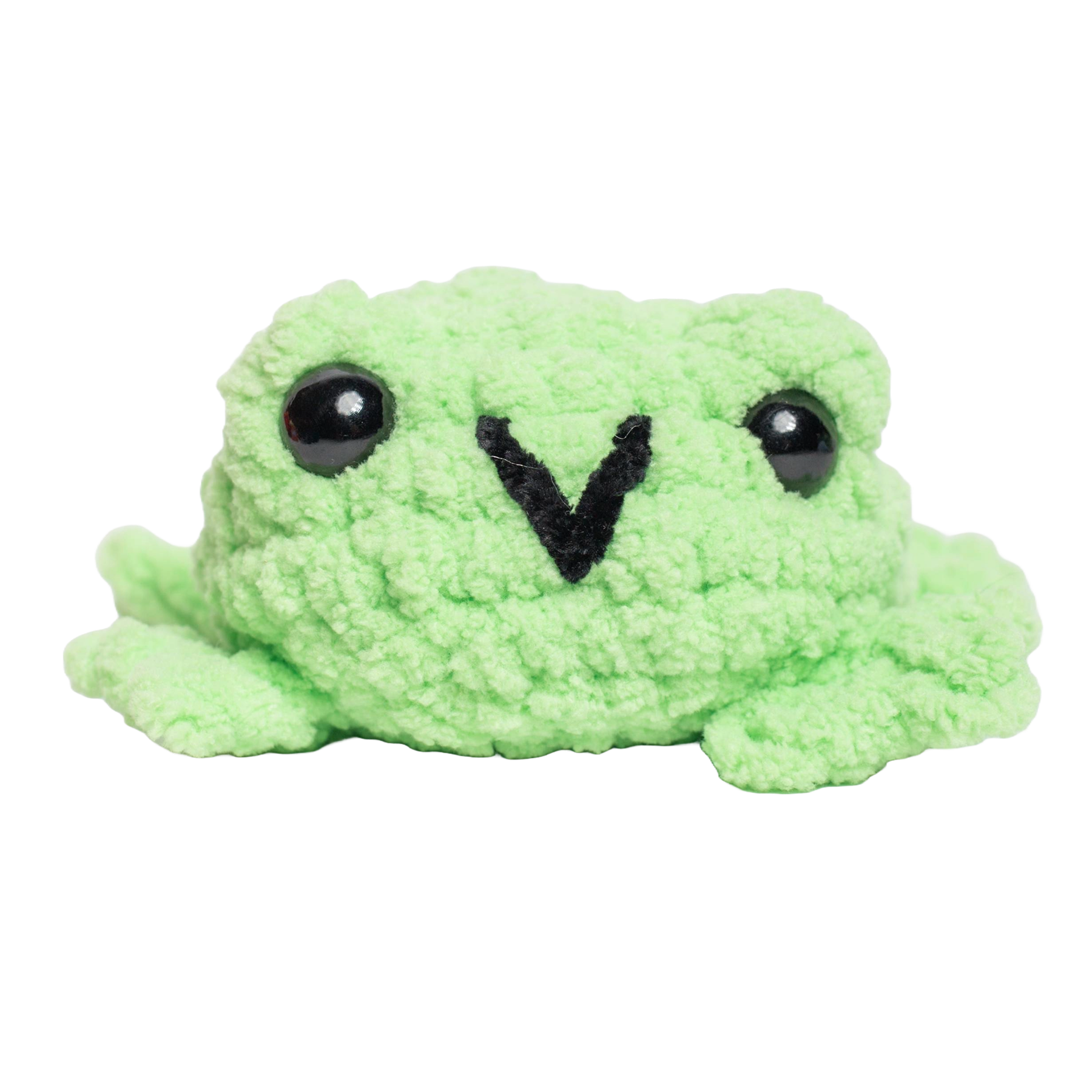 Fred the Flat Frog Crochet Plushie