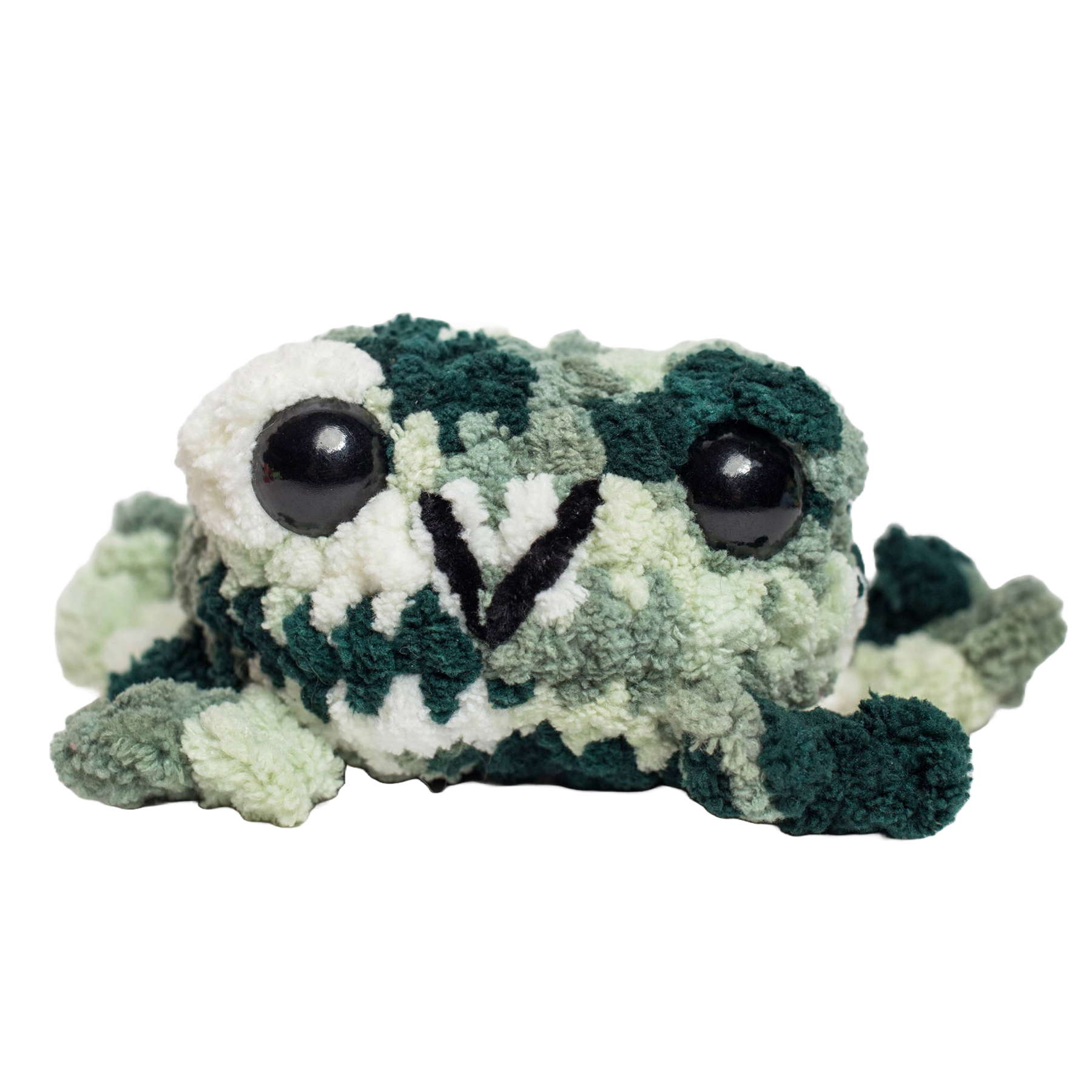 Fred the Flat Frog Crochet Plushie