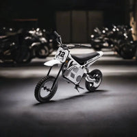 36V Freddo Electric Dirt Bike with Brushless Motor - BIG FRENCHIES