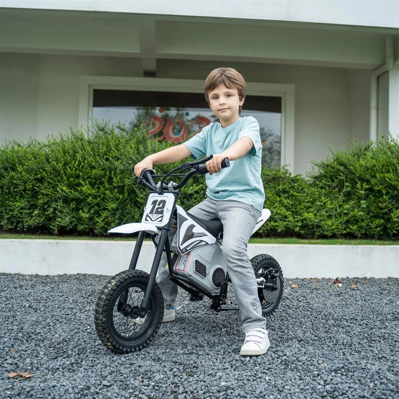 36V Freddo Electric Dirt Bike with Brushless Motor - BIG FRENCHIES