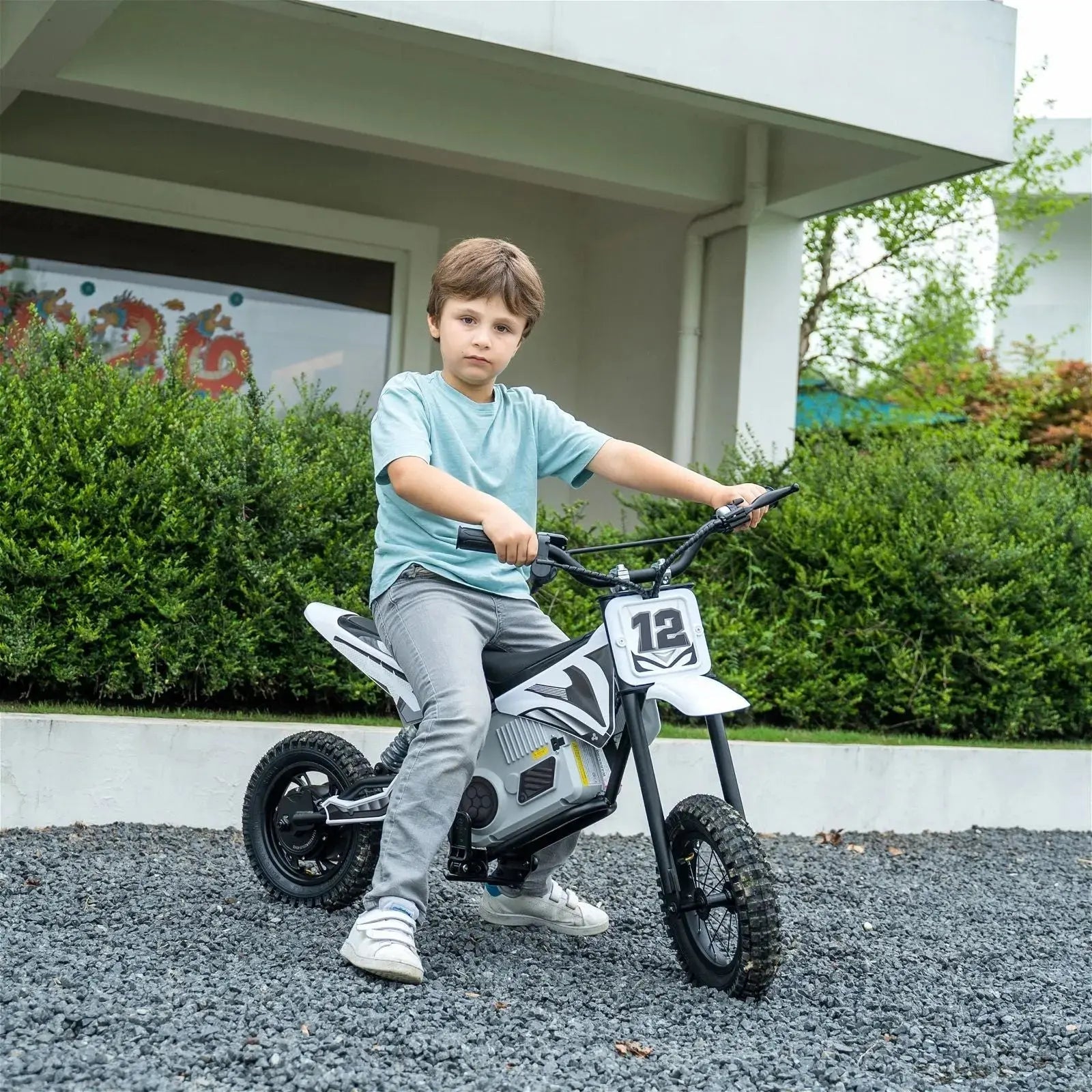 36V Freddo Electric Dirt Bike with Brushless Motor - BIG FRENCHIES