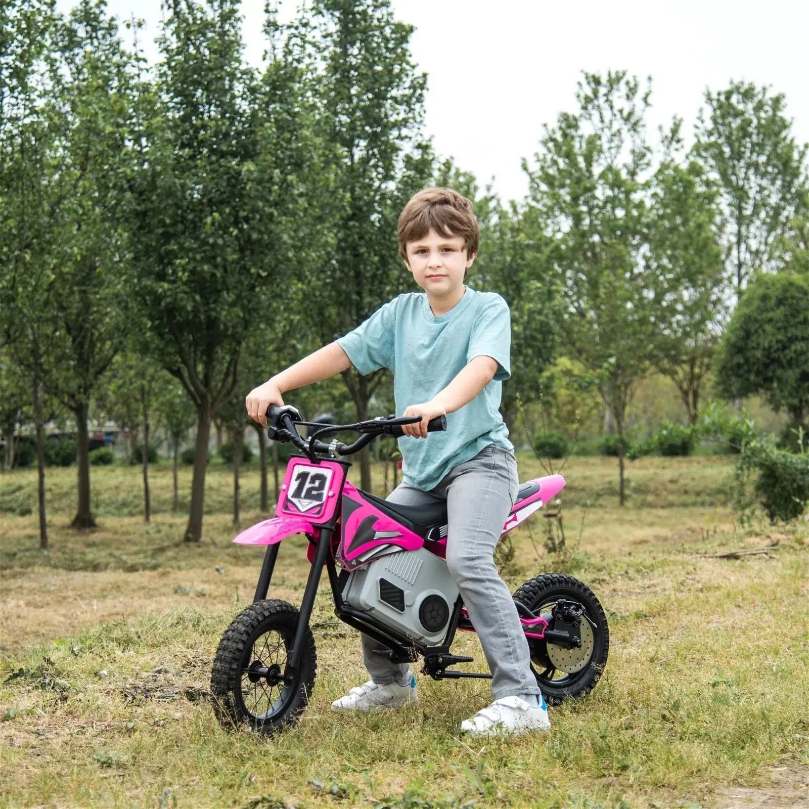 36V Freddo Electric Dirt Bike with Brushless Motor - BIG FRENCHIES