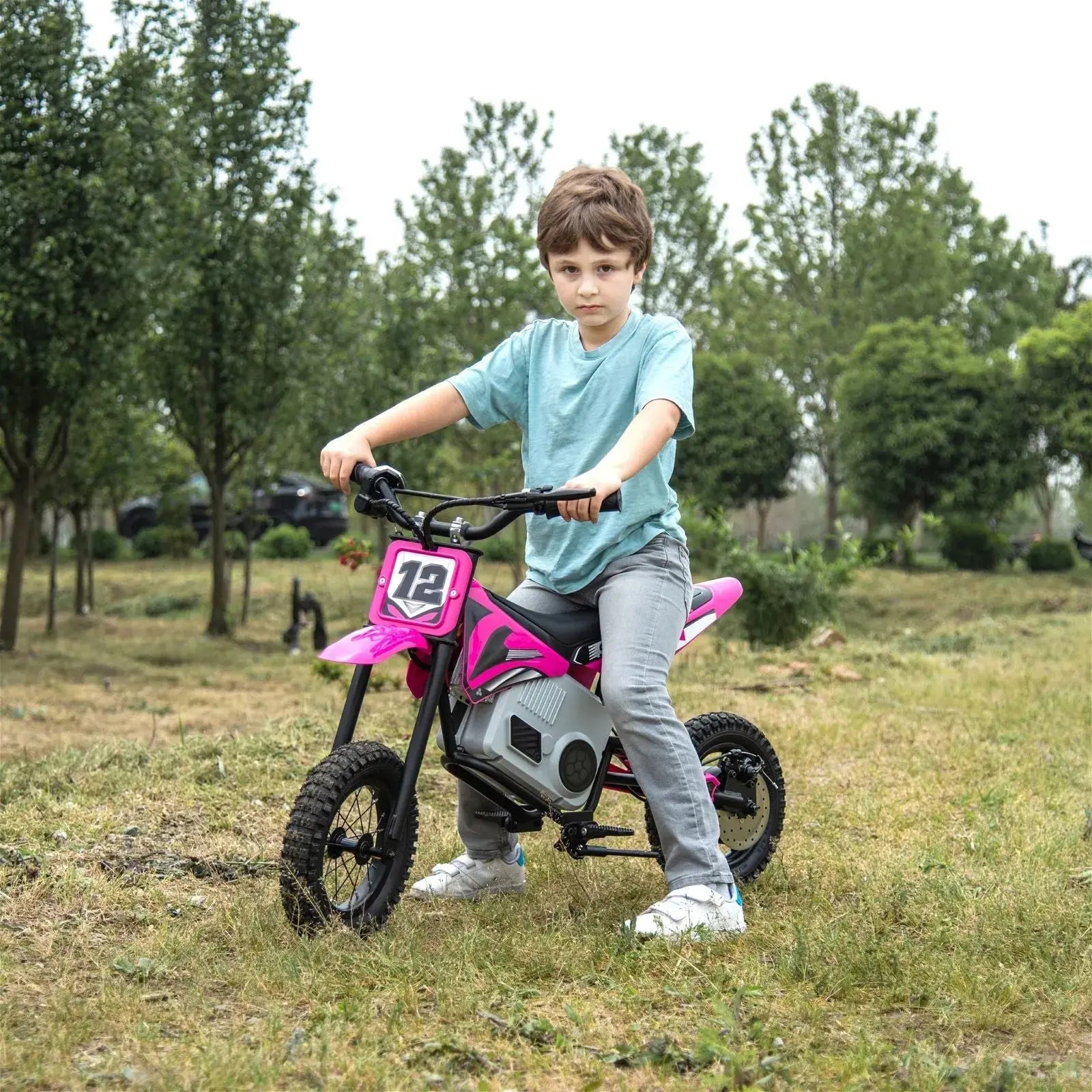 36V Freddo Electric Dirt Bike with Brushless Motor - BIG FRENCHIES