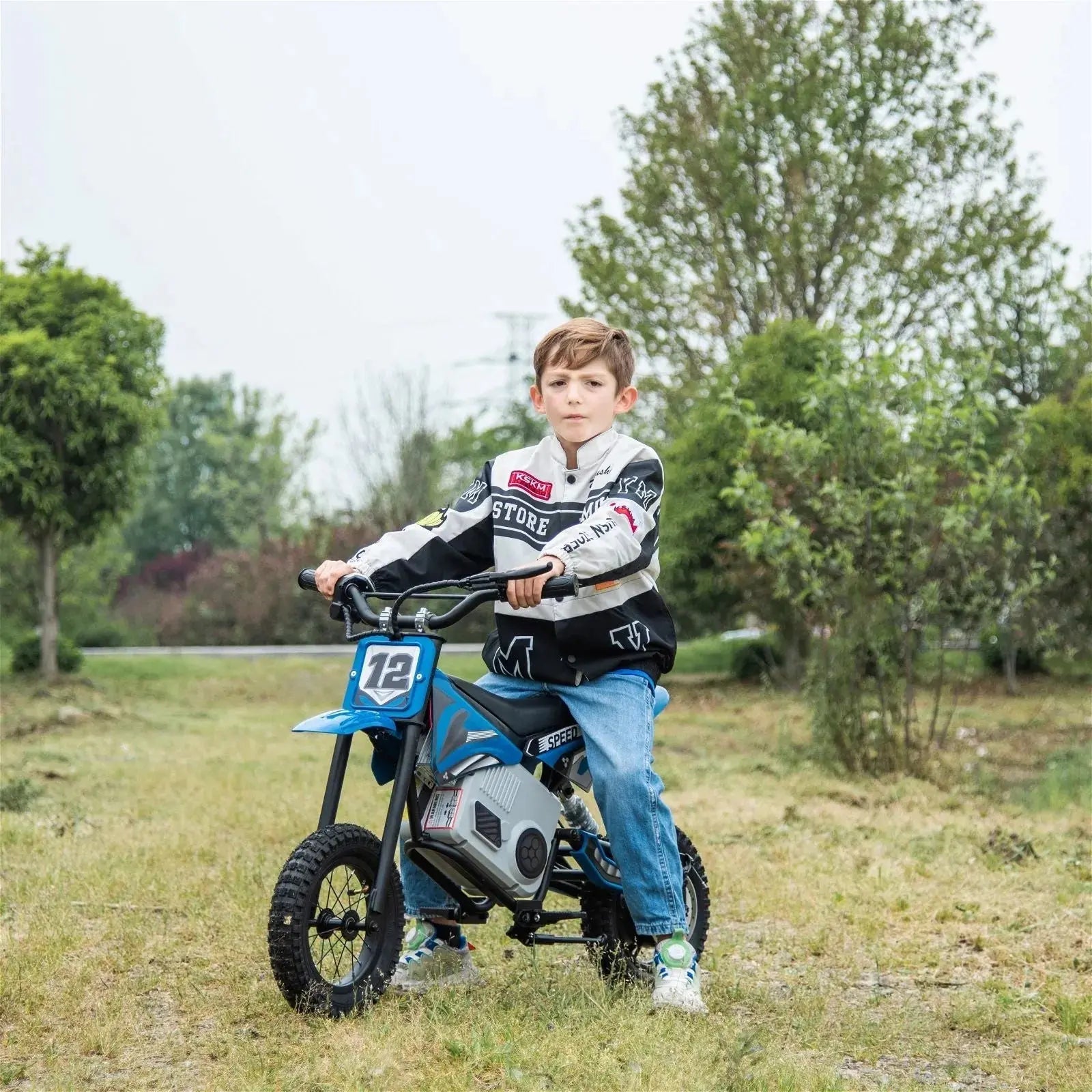 36V Freddo Electric Dirt Bike with Brushless Motor - BIG FRENCHIES
