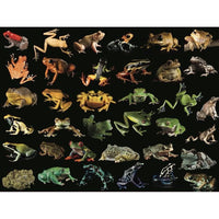 Frogs National Geographic Photo Ark 500 Piece Jigsaw Puzzle NYPC