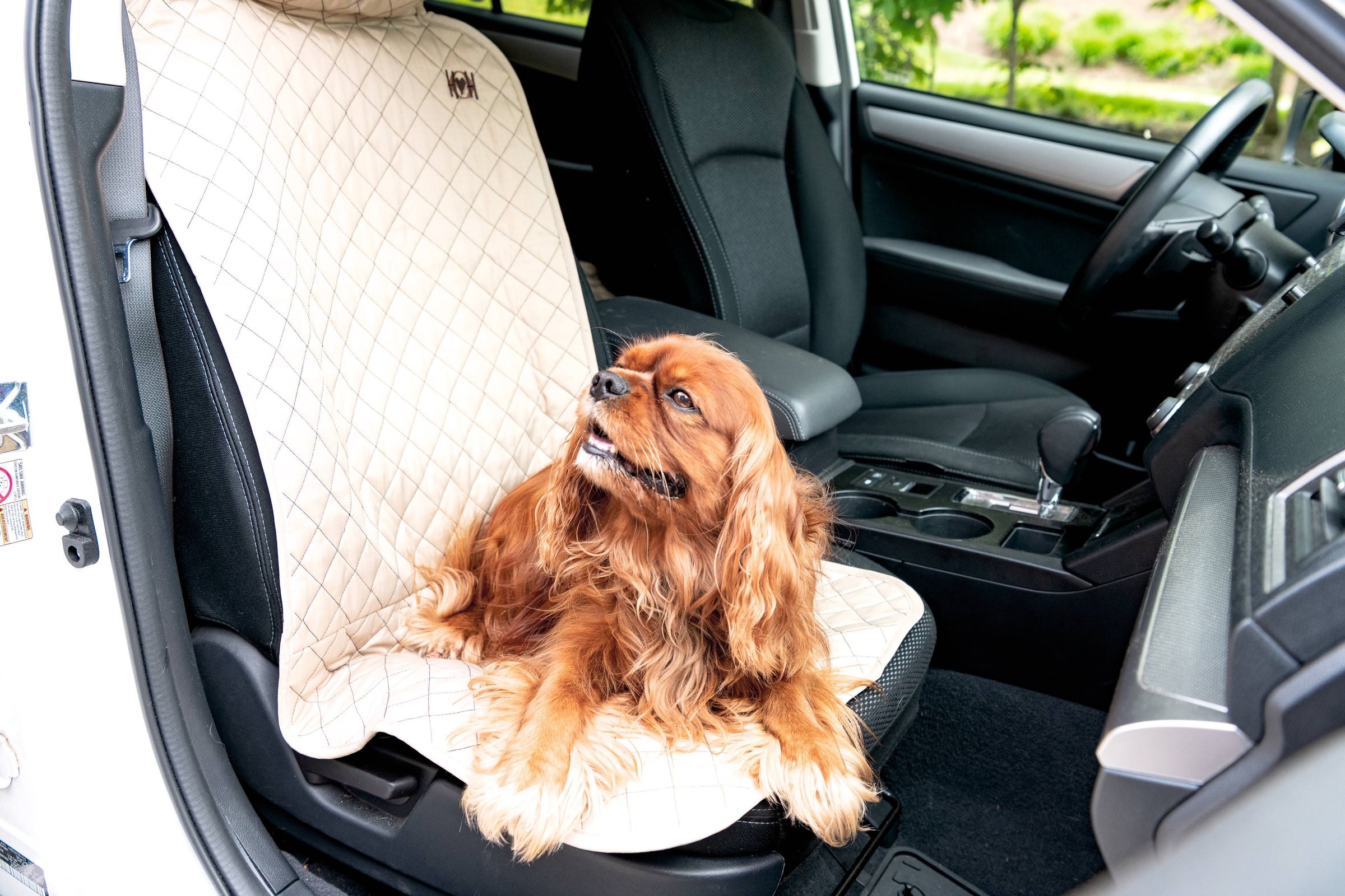 TuffutLuxx® Vehicle Protectors for Travel - BIG FRENCHIES