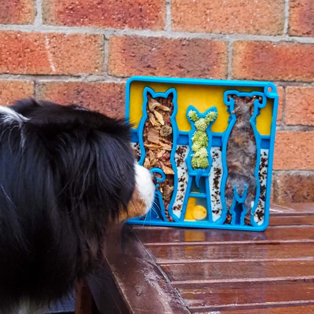 Waiting Dogs eTray - Shallow Slow Feeder Bowl for Enrichment | USA Made - BIG FRENCHIES