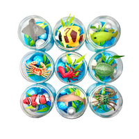 Ocean-Themed Play Dough Party Favors: Under the Sea Birthday