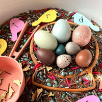 12-Piece Wooden Bird Eggs Set – Nature-Inspired Sensory & Pretend Play - BIG FRENCHIES