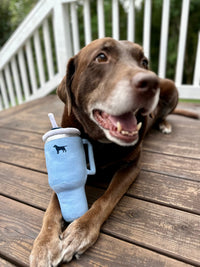 Pup Cup Tumbler Plush Squeaky Dog Toy- Ideal Birthday Dog Toy Gift