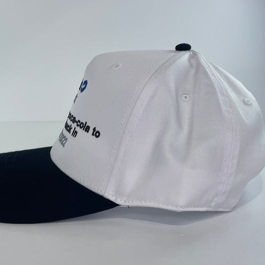 Elon Musk Tweet Custom Embroidered SnapBack Hat Cap
