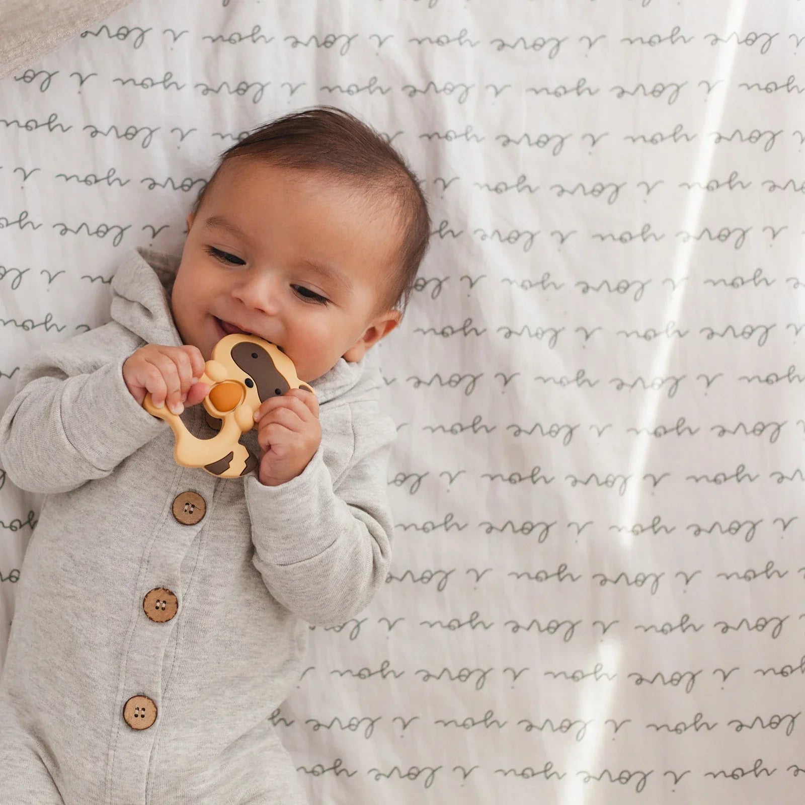 Raccoon Teether Set // Brown - BIG FRENCHIES