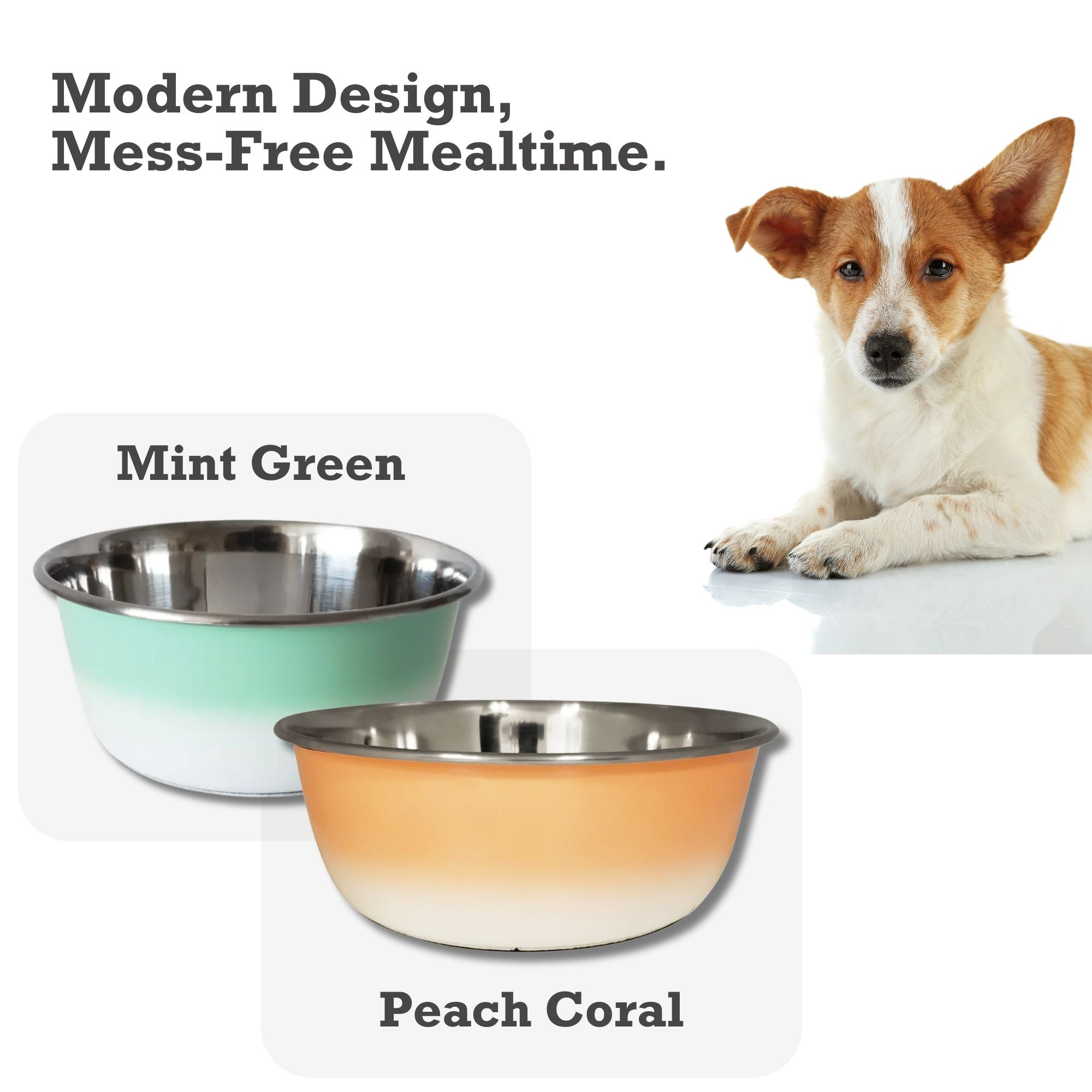 Deep Dog Bowl – Stainless Steel Bowl, Ideal for Small, Medium & Large Dogs – Mint Green - BIG FRENCHIES