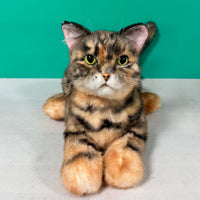 Plush Siamese Shorthair Cat Order to Make