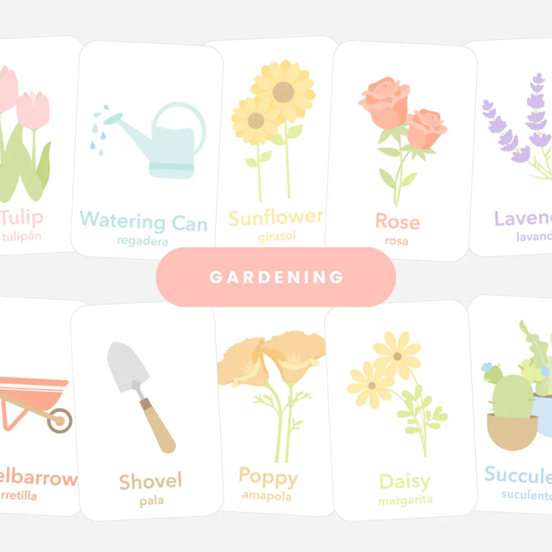 Flower Garden Flashcards - BIG FRENCHIES