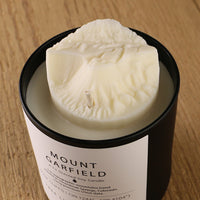 Mount Garfield Candle - BIG FRENCHIES