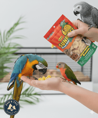 Higgins Sunburst Freeze-Dried Pineapple Mango .5 oz Bird Treat Natural Parrots