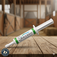 Succeed Digestive Conditioning Paste Supplement for Horses 1-Count