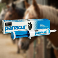 Panacur Equine Paste 10% Horse Dewormer 25g Apple Flavor 100mg