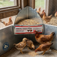 Little Giant Galvanized Hanging Corner Poultry Feeder Space-Saving Chicken Farm 4PCK