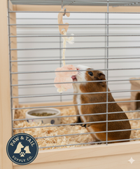 Hamster & Gerbil Bundle Sunburst Higgins Food + Lixit Bottle + Ware Salt Rope Trio Pack