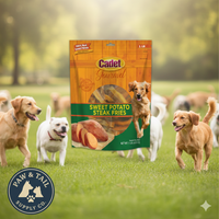 Cadet Sweet Potato Steak Fries Dog Treats 100% Real Sweet Potato 1lb