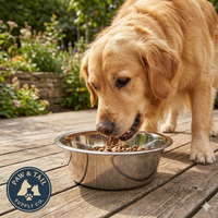 Dry food Dog Bergan Stainless Steel Bowl 17 Cup Capacity Durable Wide Base & Water Dish