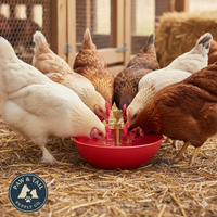 Little Giant King Size Automatic Poultry Waterer 1.5 Quart for Turkey Game Birds