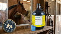 Pfizer Lixotinic Vitamin Mineral Supplement Horses Dogs Cats Foals Gallon