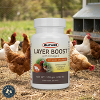 Wellness Chicken Durvet Layer Boost Chickens Poultry Vitamin & Electrolyte Supplement 100g