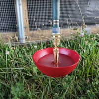 Little Giant King Size Automatic Poultry Waterer 1.5 Quart for Turkey Game Birds