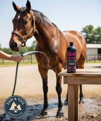 EQyss Micro-Tek Medicated Horse Care Bundle Shampoo and Spray Equine Grooming Set