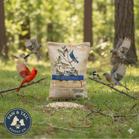 Alligator Safflower Seed Wild Bird Food 10 lb Natural Squirrel-Resistant Blend