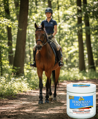 Absorbine Horseman's One Step Leather Cleaner Conditioner Tack Care Lanolin 15 oz.