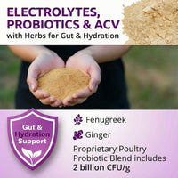 AquaBoost – Electrolytes and Probiotics for Backyard Chickens