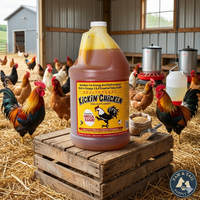 Healthycoat Kickin' Chicken Food Supplement for Poultry Omega Support Gallon